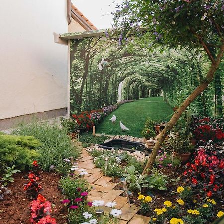 Apartmani Marina Poreč Buitenkant foto